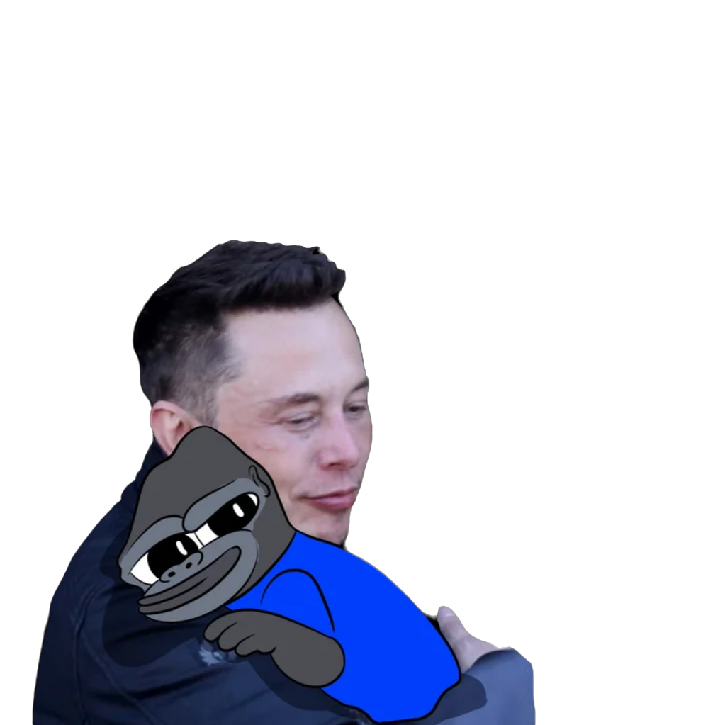 Elon loves memes like KONGZ